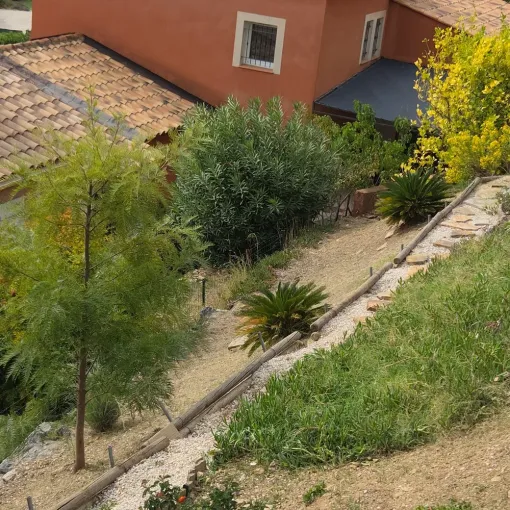 Taille au Lavandou, Hyères, GBS Paysage