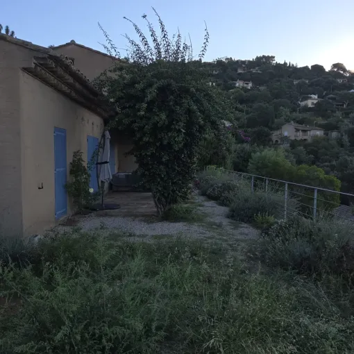 Rabattage dans la commune du Lavandou d'un gros bougainvillier pour laisser place à des travaux de toiture, Hyères, GBS Paysage