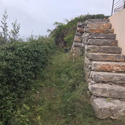 taille d'une haie d'Eleagnus et débroussaillage au Lavandou, Hyères, GBS Paysage