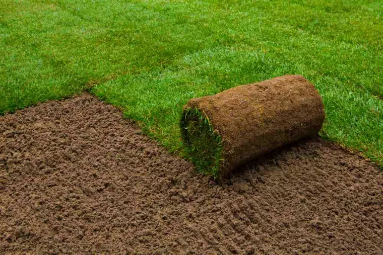 Pose de gazon synthétique ou naturel dans jardin d'une résidence étudiante, Hyères, GBS Paysage