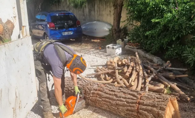 🌲 Abattage d’un pin menaçant à Hyères – Intervention sécurisée par GBS Paysages ✅, Hyères, GBS Paysage