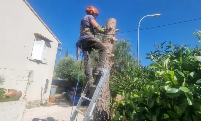 🌲 Abattage d’un pin menaçant à Hyères – Intervention sécurisée par GBS Paysages ✅, Hyères, GBS Paysage