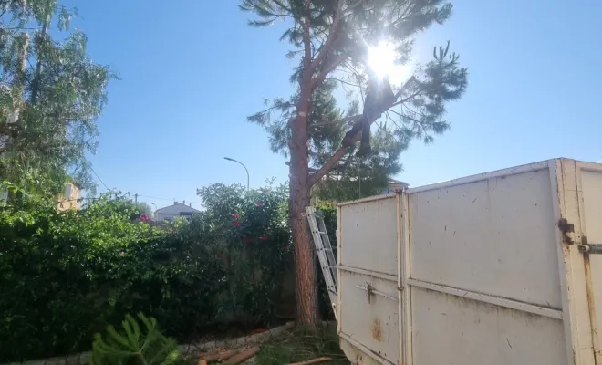 🌲 Abattage d’un pin menaçant à Hyères – Intervention sécurisée par GBS Paysages ✅, Hyères, GBS Paysage