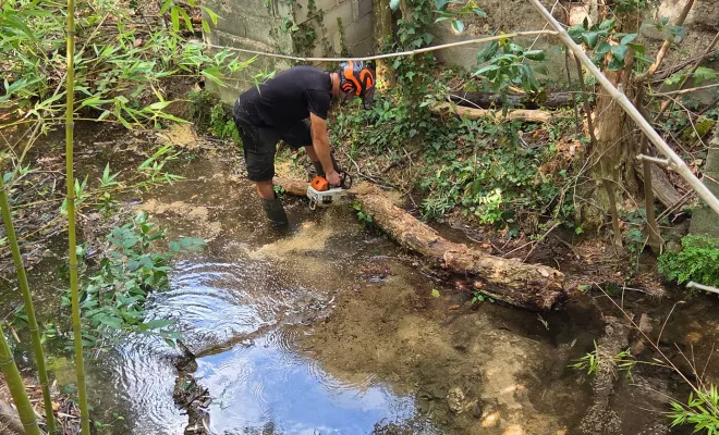 Abattage et évacuation d'arbres dans une rivière à Hyères, Hyères, GBS Paysage