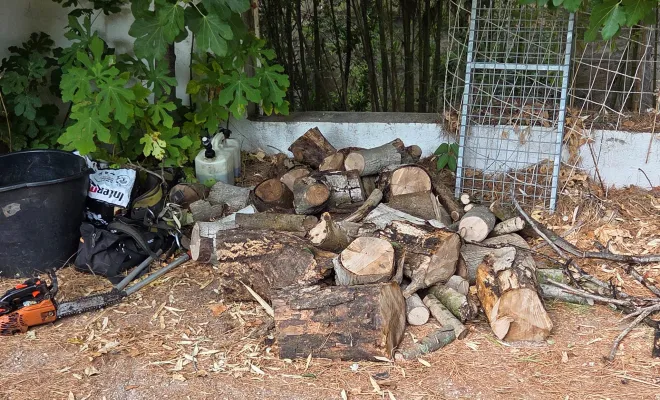 Abattage et évacuation d'arbres dans une rivière à Hyères, Hyères, GBS Paysage