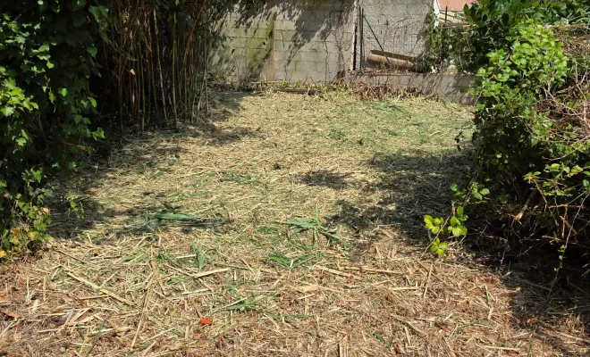 Ouverture pour un passage et débroussaillage de Cannes de Provence à Hyères, Hyères, GBS Paysage