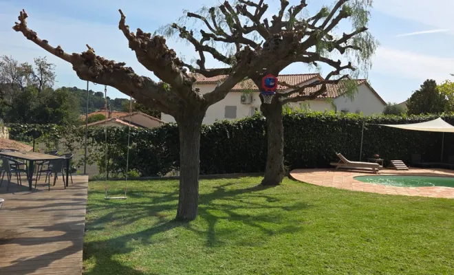 Élagage d'un faux poivrier et taille d'un mûrier platane à Hyères, Hyères, GBS Paysage