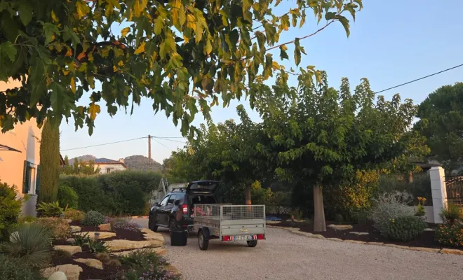 Taille de mûriers platane à Hyères, Hyères, GBS Paysage