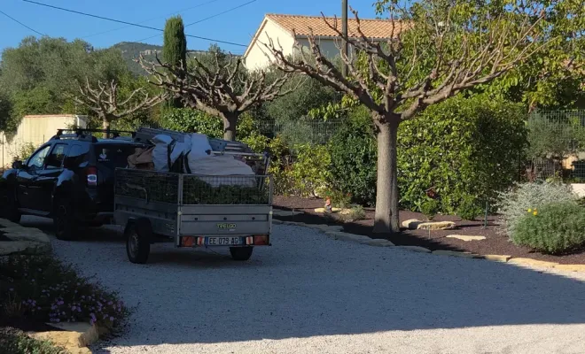 Taille de mûriers platane à Hyères, Hyères, GBS Paysage