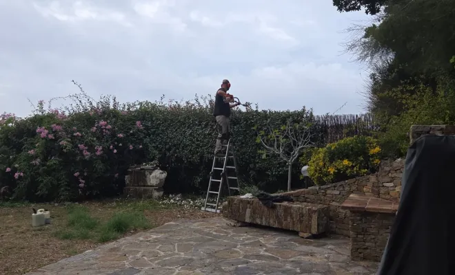 Taille d'entretien sur le secteur de Hyeres, Hyères, GBS Paysage