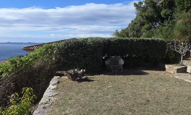 taille d'une haie d'Eleagnus et débroussaillage au Lavandou, Hyères, GBS Paysage