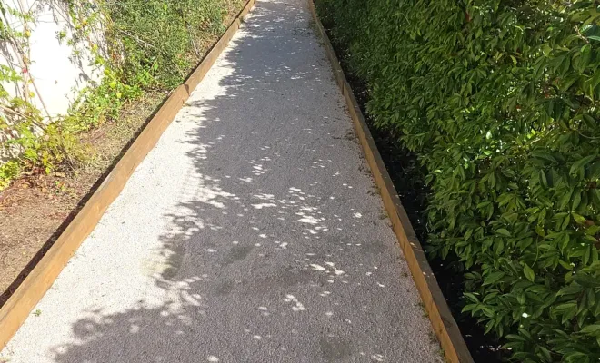 taille d'une haie d'Eleagnus et débroussaillage au Lavandou, Hyères, GBS Paysage